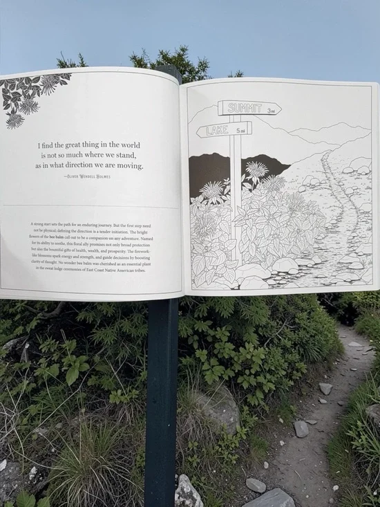 Disney Nightmare Before Christmas Glow Coloring Book + Floriographic Garden Set - Picture 7 of 14